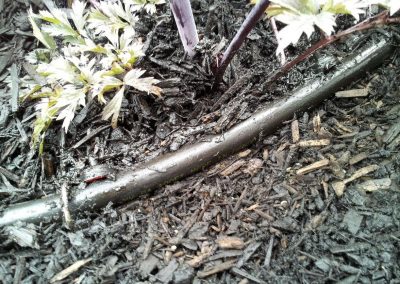Vernon Affordable Irrigation-1