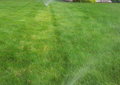 Vernon Affordable Irrigation-1